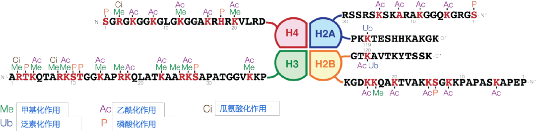 3052ad14cad9cc1191f5007c719cea41_1716281528126012.png